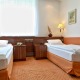 Dvoulůžkový pokoj Standard - HOTEL AGRICOLA Mariánské Lázně